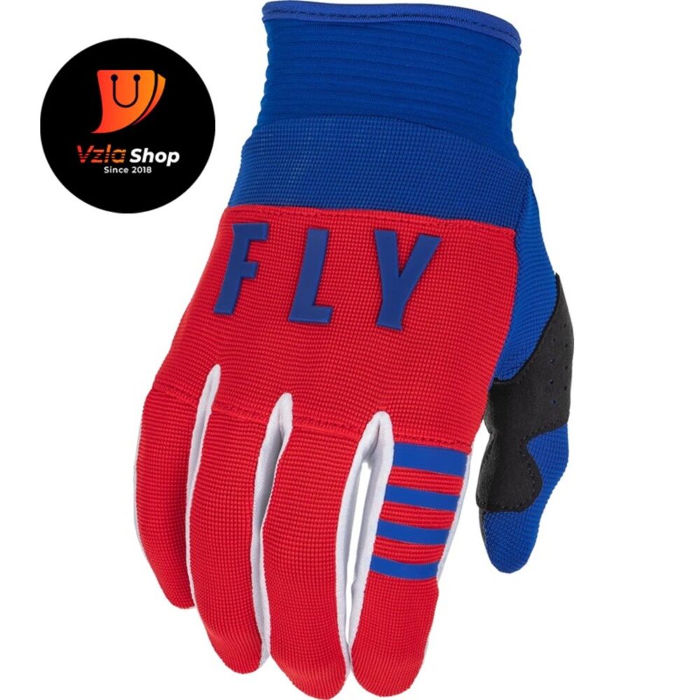 Fly Racing Adult and Youth F-16 Gloves